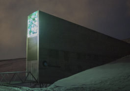 reserver mondiale de svalbard