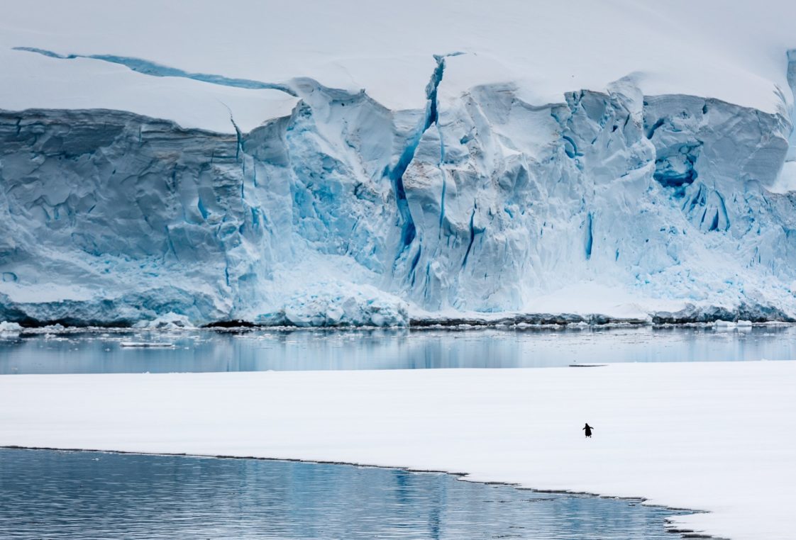 ile de l antarctique en 4 lettres